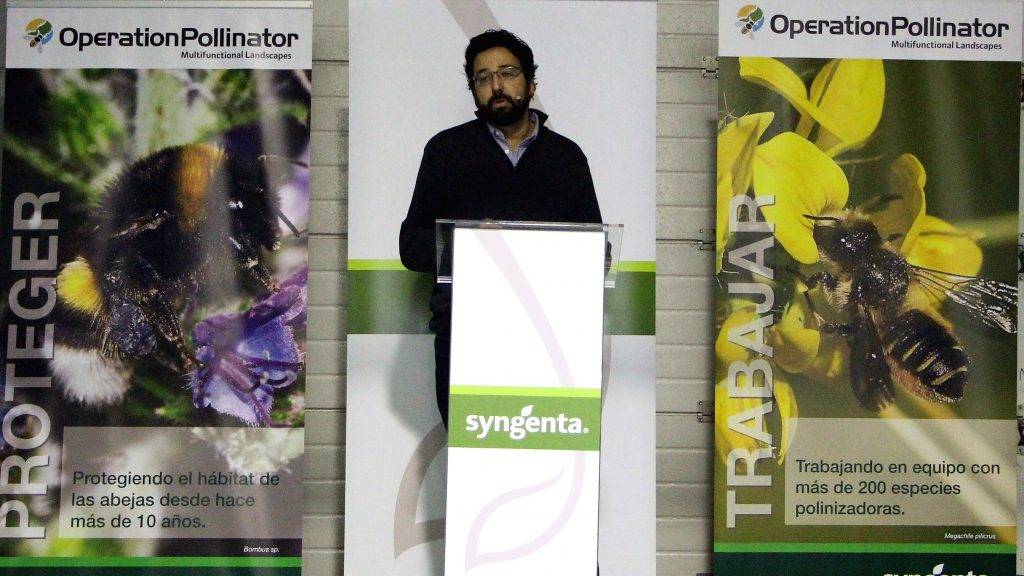 OP ALMERÍA FOTO 1|OP ALMERÍA FOTO 2|OP ALMERÍA FOTO 3